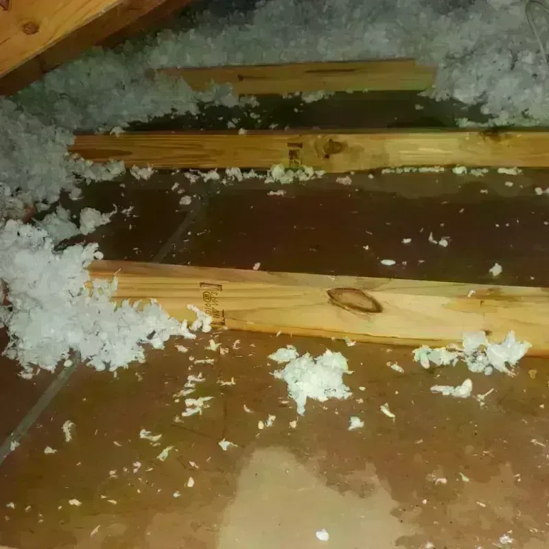 Attic Water Damage in Zilwaukee, MI