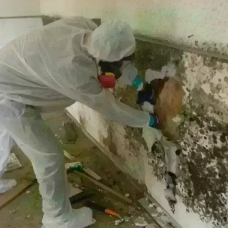 Mold Remediation and Removal in Zilwaukee, MI