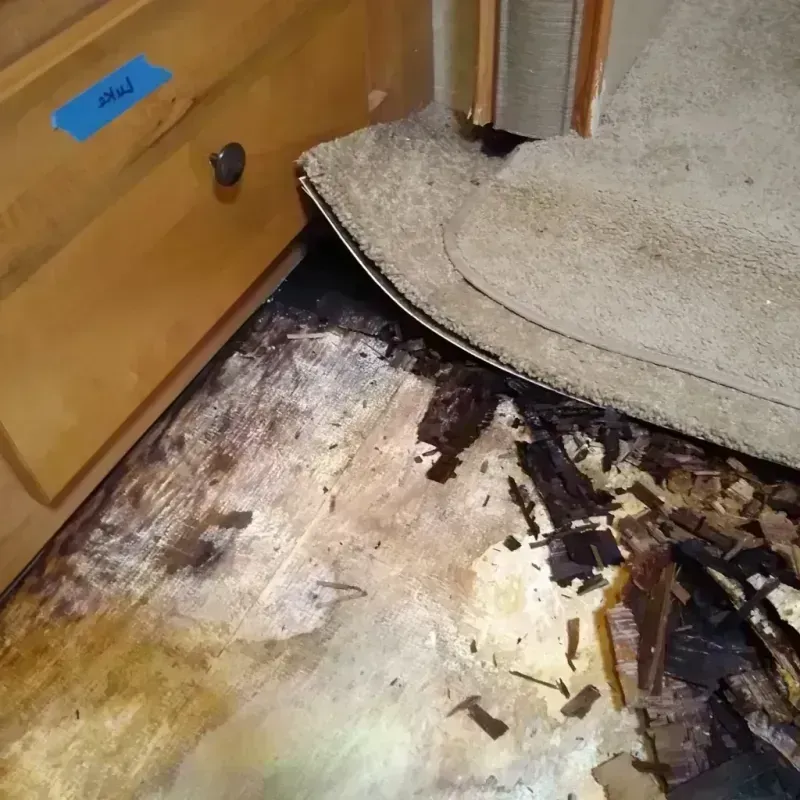 Wood Floor Water Damage in Zilwaukee, MI